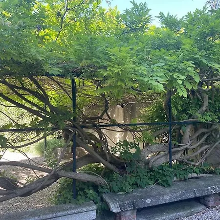 Apartmán Casa Glicine Incantevole Con Camino *
